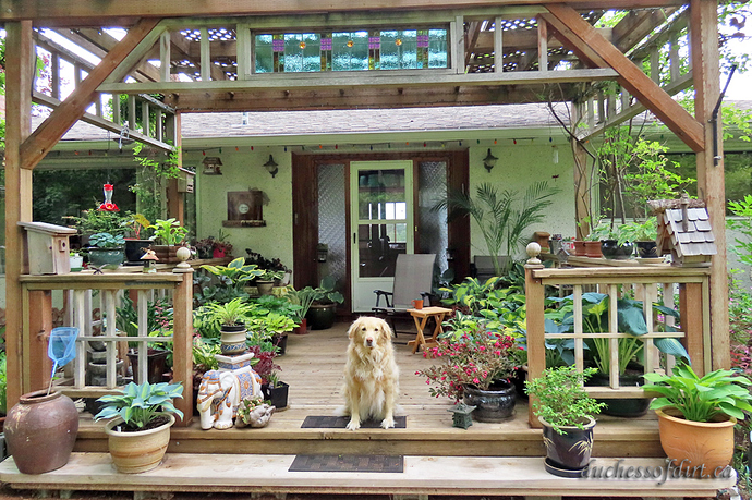 Sadie's porch