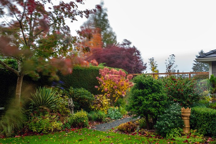 L1011884 wind warning