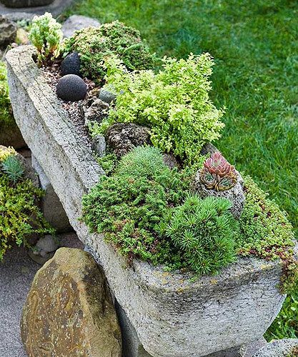 trough-garden
