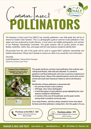 common insect pollinators poster