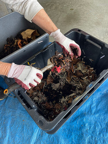 IMG_3336
