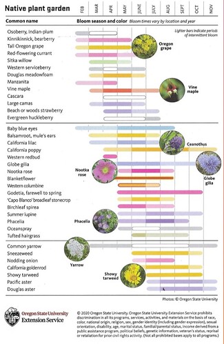 Native Plant chart