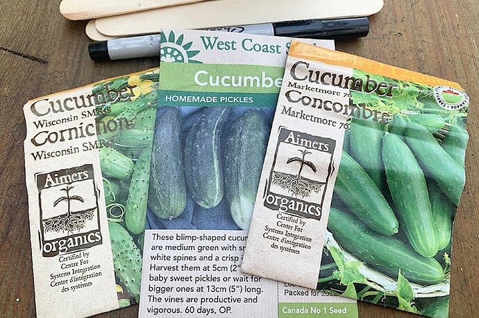 cucumbers